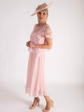 Blossom Chiffon Dress with 3-D Daisy Embroidered Mesh Overtop