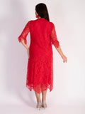 Poppy Lace Dress with Scallop Neck Detail
