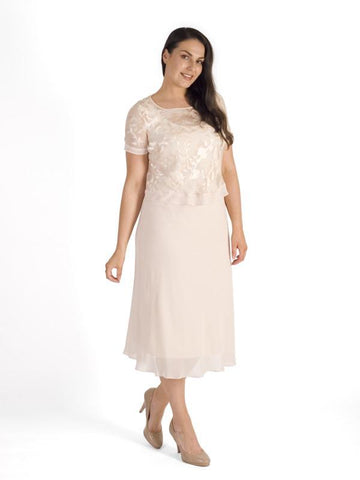 Blush Chiffon Trim Devoree Top & Chiffon Dress Set