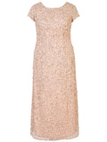 Blush Allover Sequin Short Sleeve Dress